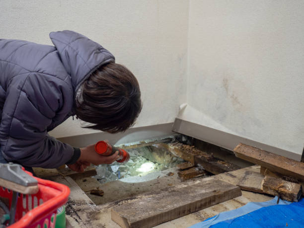 Best Environmental Consulting for Mold Prevention  in Surfside Beach, SC