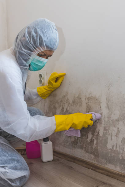 Best Commercial Mold Inspection  in Surfside Beach, SC